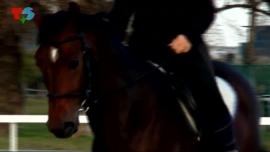 Samo sport, 7.11.2014.