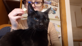 studentski_zivot_s_kucnim_ljubimcima